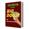 Secrets of the Big Dogs™ – The Ultimate Internet Marketing Blueprint for Beginners & Pros
